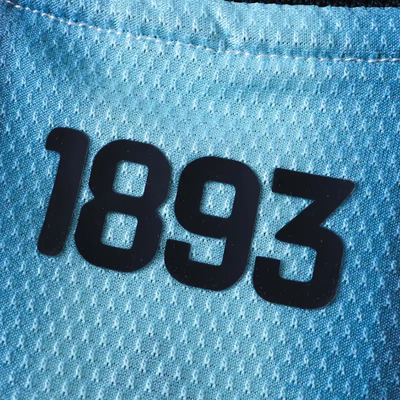 2026 FIFA World Cup Argentina home Player version