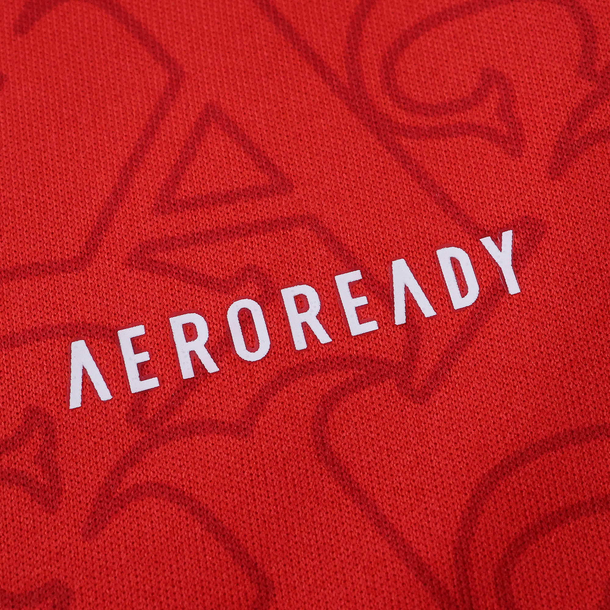 2526 season Arsenal F.C. home Fan version