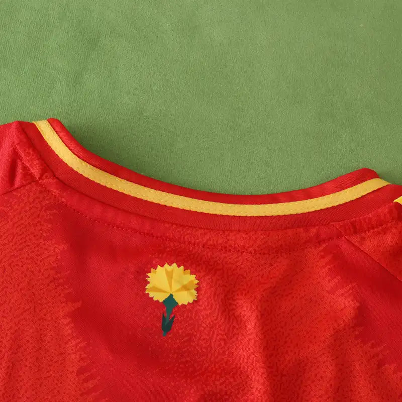 2425 UEFA Spain home Fan version
