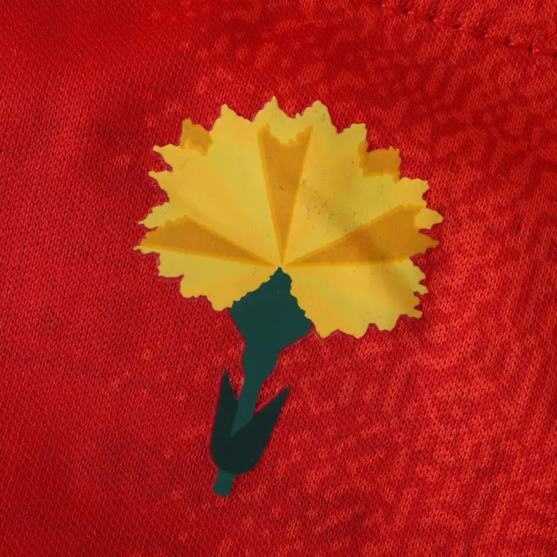 2425 UEFA Spain home Fan version