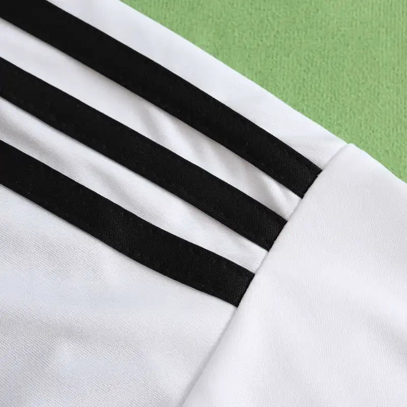 2425 season Juventus home Fan version