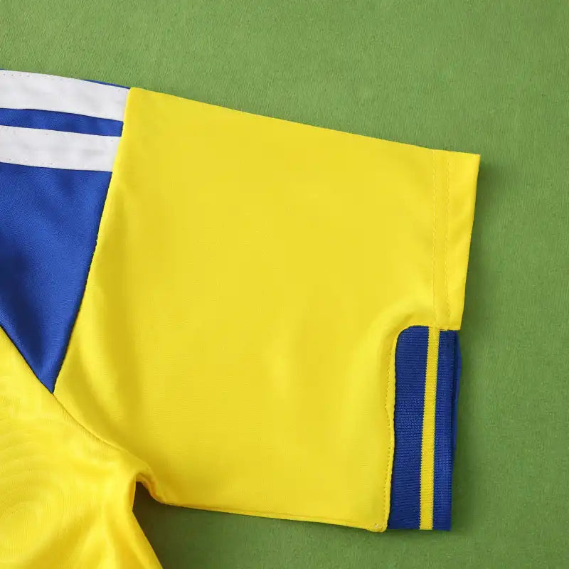 2026 FIFA World Cup Sweden home Fan version